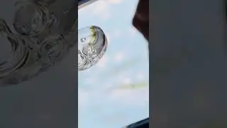 сыворотка с золотом, серебром.