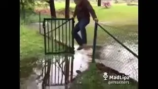 walking on water