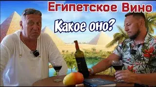 Вино в Египте.  Стоит ли покупать?