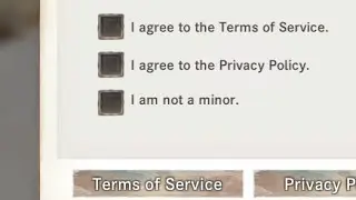 This game's terms of service is really something.....