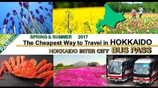 The Cheapest Way to Travel in Hokkaido, Japan 6