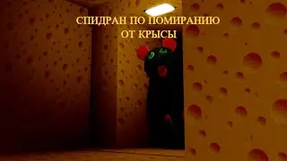 первый спидран