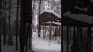 НАШЛИ ДОМ НА ДЕРЕВЕ в ЛЕСУ | ПОЛНОЕ ВИДЕО НА КАНАЛЕ