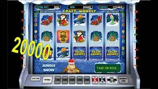 Игровой автомат crazy monkey jungle snow средней волатильности!