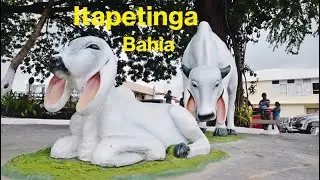 ITAPETINGA - BAHIA