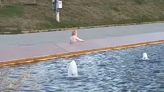 Обуначилар У-Н  махсус
