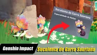 Suculenta de Garra Sauriana Rota Completa Genshin Impact