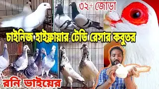 চাইনিজ হাই ফ্লাইং পাকিস্তানি টেডি কবুতর রেসার কবুতর কিনুন || রনি ভাইয়ের খাবার। mohsintv