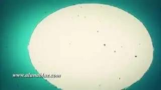 Stock Video - Picture Start 04 clip 08 - Video Backgrounds - Stock Footage