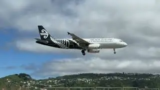 NZ421 arriving at Wellington
