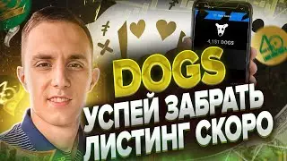 DOGS ПОЛУЧИ КРИПТУ БЕЗ ВЛОЖЕНИЙ ТОКЕНЫ DOGS | АИРДРОП DOGS | КОГДА ЛИСТИНГ DOGS