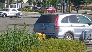 lake elsinore ca police at Walmart 8/5/24