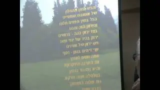 Tel Hay Reunion :Kol Hayarok Haze