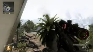 Black Ops 2 Private Suicide hitmarker...