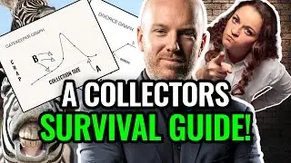 Zebra Camouflage: A Collectors Survival Guide