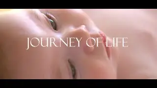 Journey Of Life. Original Instrumental Music Piece. Music Video by Arijit Saha. 1080p