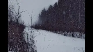 Текущее время 12 марта 2023 года
