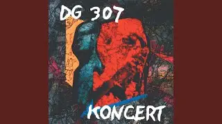 Siluety letících ptáků (Live)
