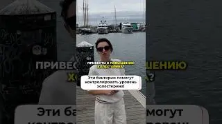🫀 Как бактерии кишечника влияют на здоровье сердца?