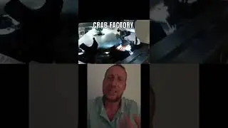 Крабовое рабство :(