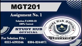 MGT201 assignment 1 solution fa2022 mgt201