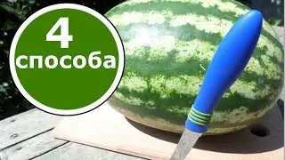 How to cut the watermelon! 4 super ways!