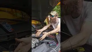 New alternator, no crank...