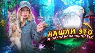 МЫ НАШЛИ ЭТО В ЗАКОЛДОВАННОМ ЛЕСУ С КОТОМ
