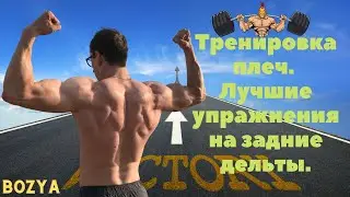 Тренировка плеч. Лучшие упражнения на задние дельты.