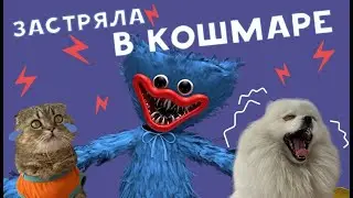 СТРАШНЫЙ СОН С ХАГИ ВАГИ😱 // КАССИ И БРЮС: ВЫРАСТИ ЛЮБОЙ ЦЕНОЙ