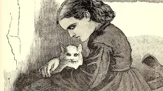 Care of Victorian & Edwardian Cats