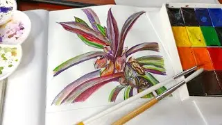 How to draw step by step 🔸in colours 🔸Botanical painting| how to draw flovers