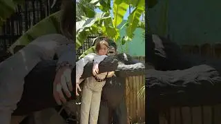 Jack Dawson loves monkeys 