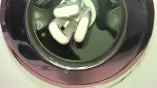 Кошка застряла в потолке на кухне