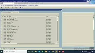 4.  BDC Call Transaction method