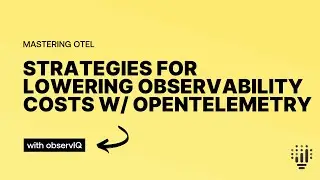Strategies for Lowering Observability Costs