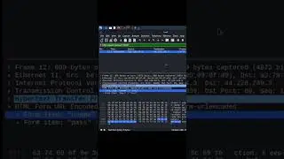 Wireshark Security: Spotting Network Threats