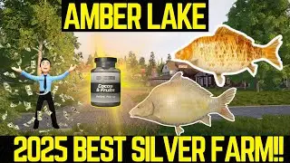 Russian Fishing 4 BEST SILVER FARM (Amber Lake)
