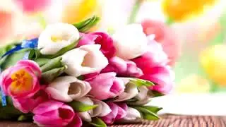 Secrets of a Muslim Woman - By Sister Fatima Barkatullah