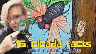 Periodical Cicada Facts While I paint Cicadas