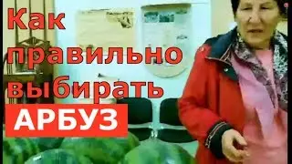 Как правильно выбирать арбуз