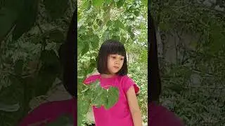 30 июня 2024 г.