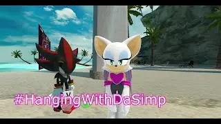 Rouge Chilling at the Beach Again...with Shadow?! - VRChat