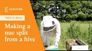 Trevs Bees - Making a Nucleus (NUC) colony (split) from a Honey Bee Hive