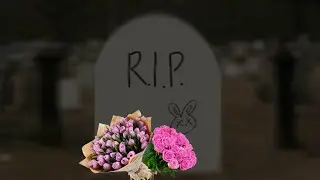 [] Девочка с друзьями на пляже была... [] × Меме? ×