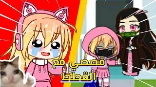 قصصي مع القطط🤡💔 بصوتي