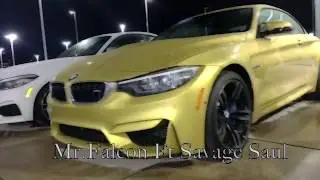 Savage Wayz "Official Music Video" Mr.Falcon Ft Savage Saul