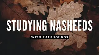 Studying Nasheeds Collection + Rain Sounds - Part 2