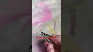 25 июля 2024 г.