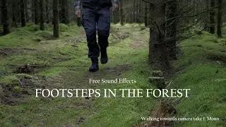 5 Footsteps in the forest sound effects @ by VIRAL Element